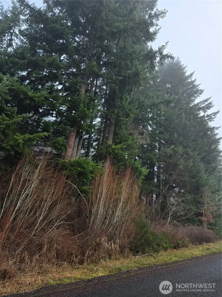 0 Clinton Road Chehalis WA 98532
