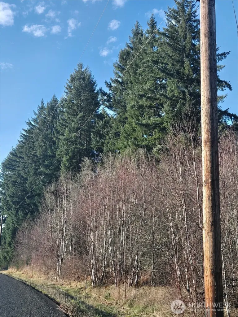 0 Clinton Road Chehalis WA 98532