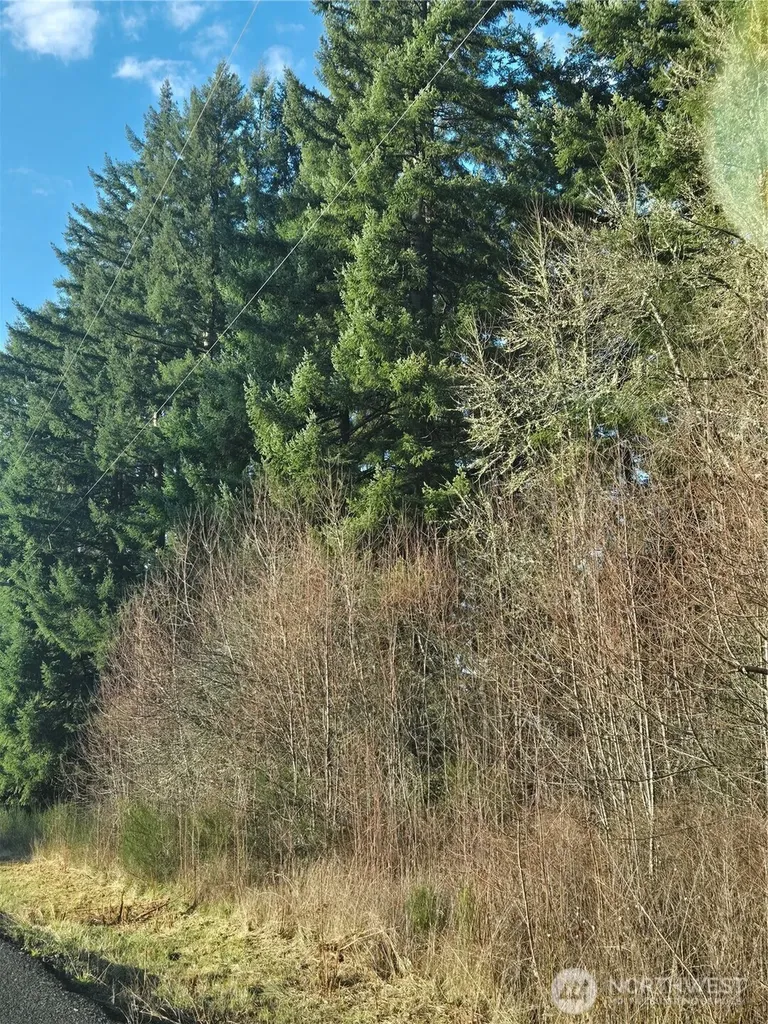0 Clinton Road Chehalis WA 98532