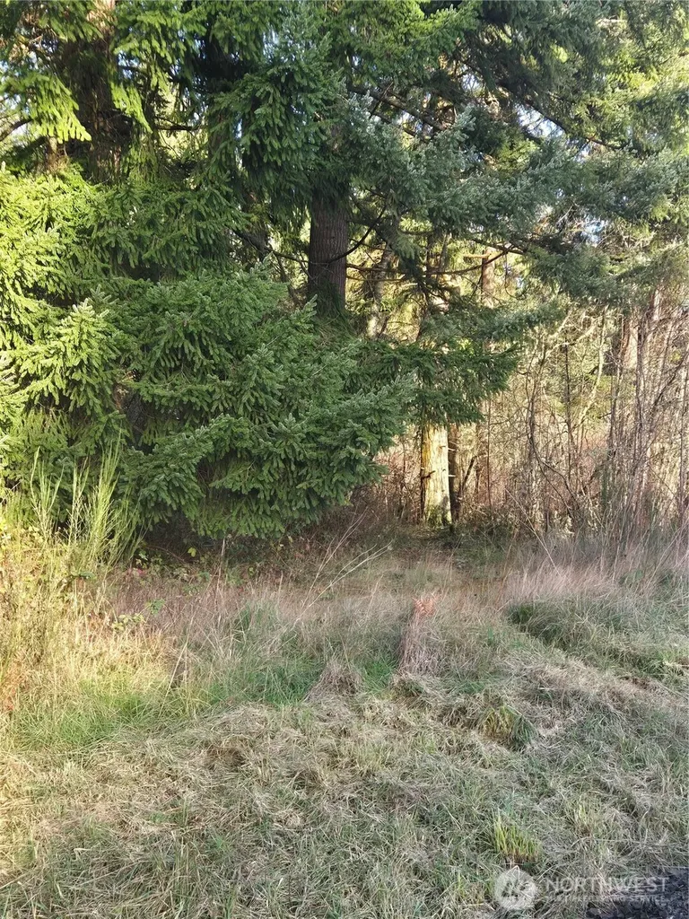 0 Clinton Road Chehalis WA 98532