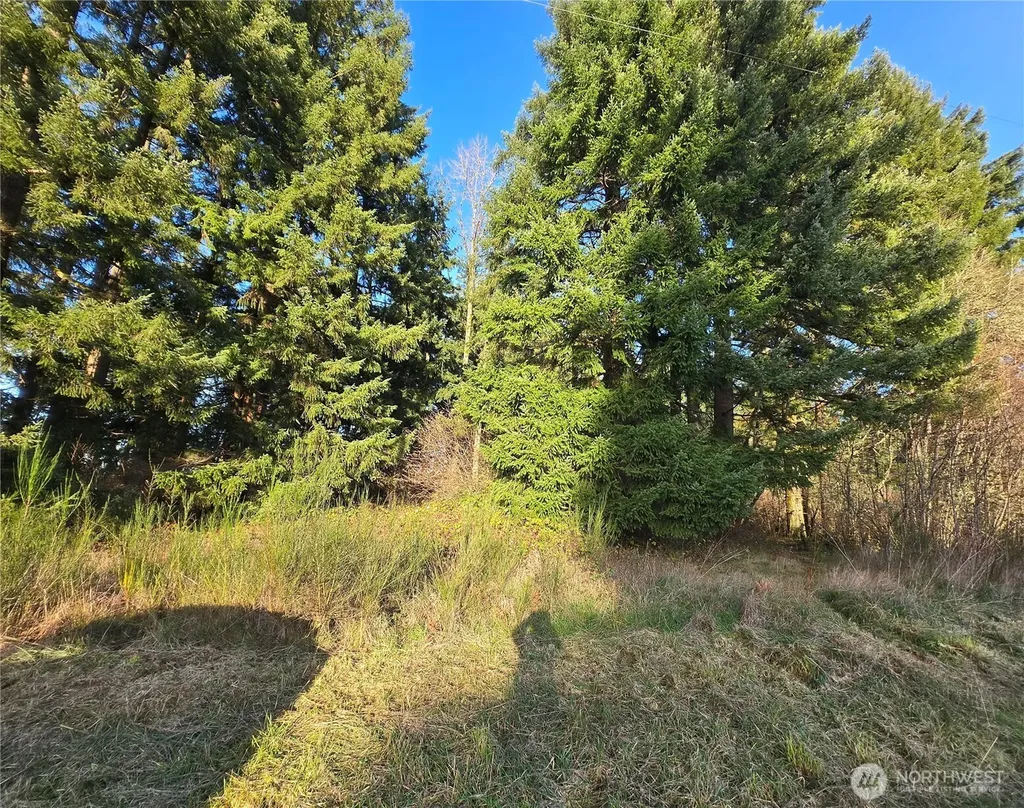 0 Clinton Road Chehalis WA 98532