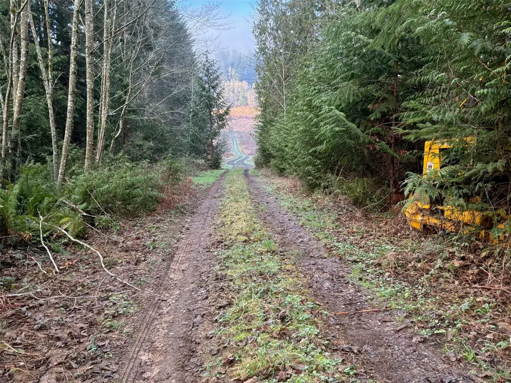 216 Zenkner Valley Road SW Centralia WA 98531