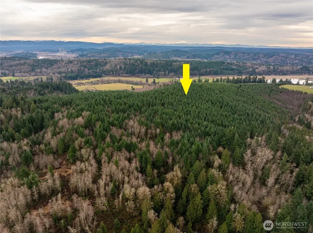 216 Zenkner Valley Road SW Centralia WA 98531