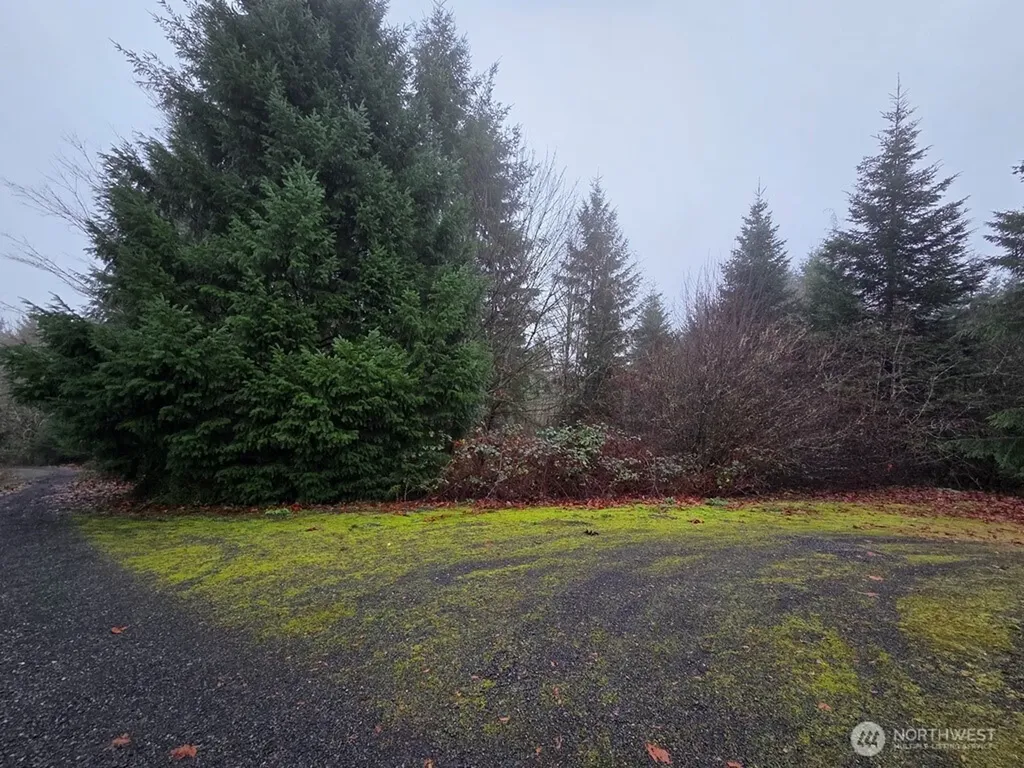 176 White Pine Road Castle Rock WA 98611