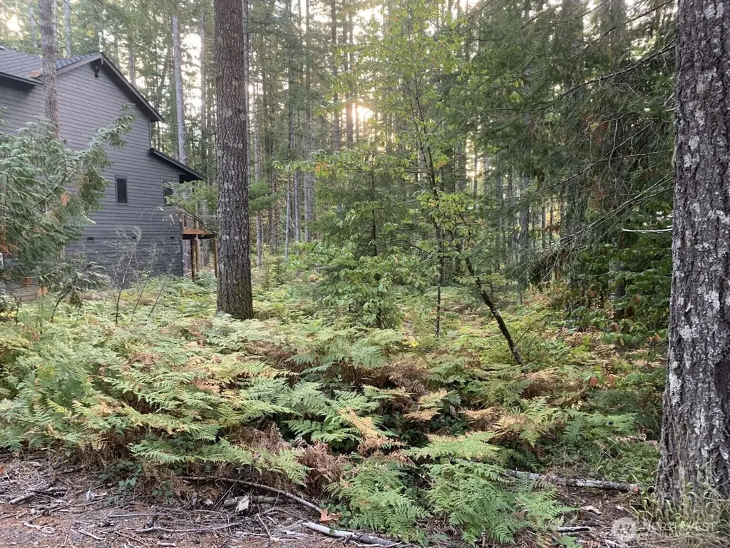 0 Loop Lane Packwood WA 98361