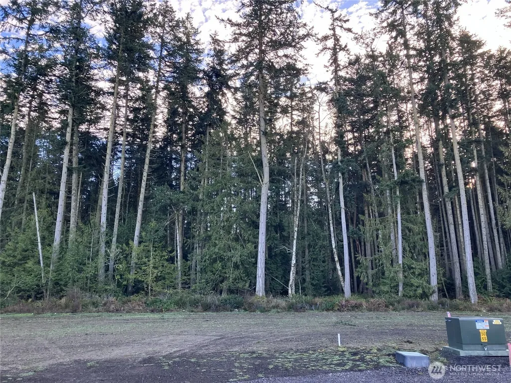81 Butterfly Lane Sequim WA 98382