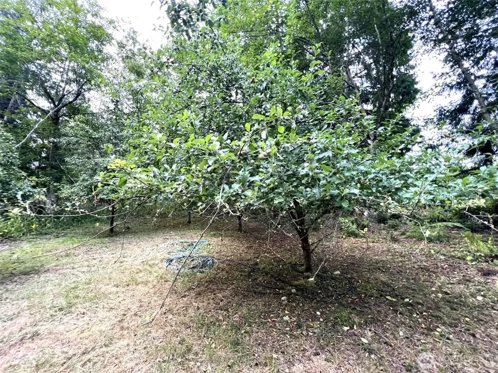 3910 E Harstine Island Road S Shelton WA 98584