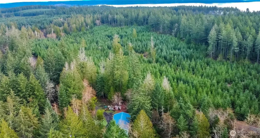 3910 E Harstine Island Road S Shelton WA 98584