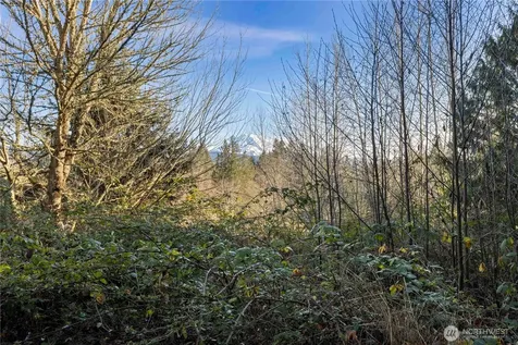 16018 229th Street E Graham WA 98338