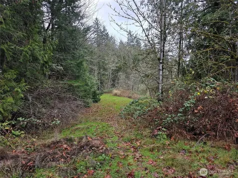 0 Silver Cove Silverlake WA 98645