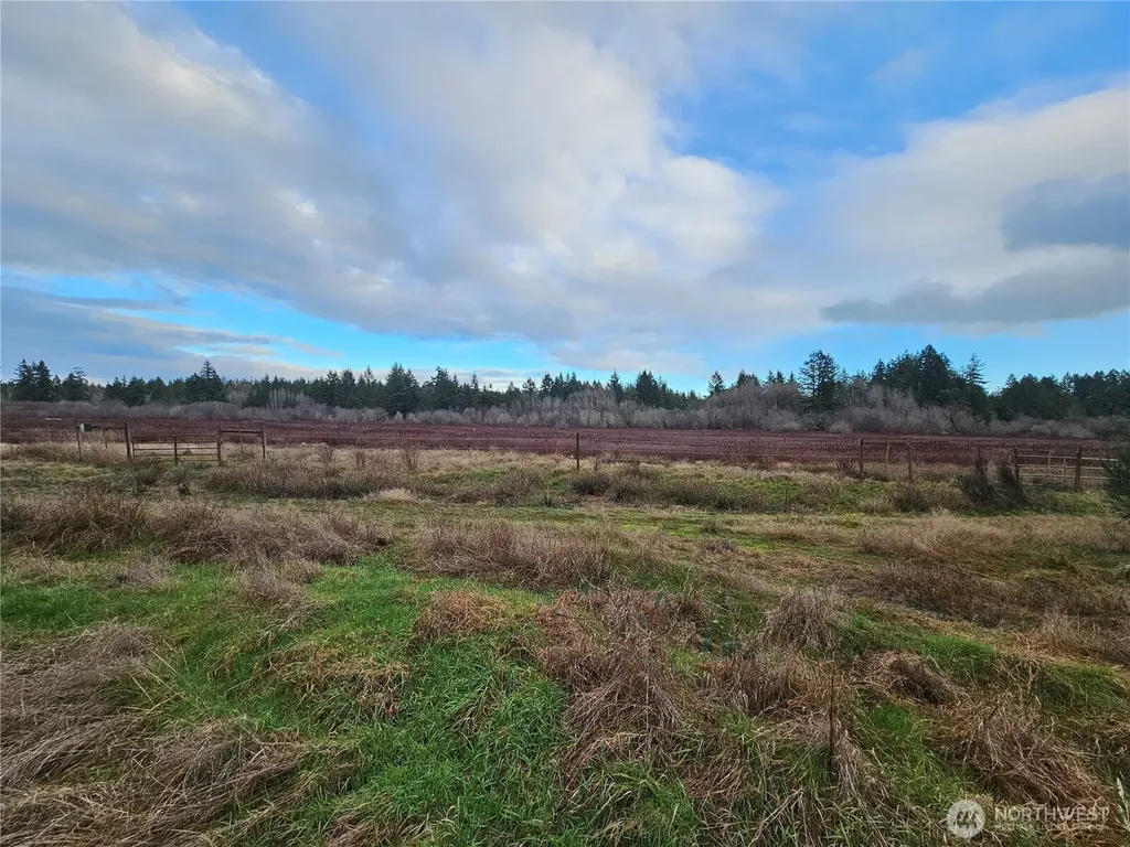 206 184th Avenue Ct NW Lakebay WA 98349