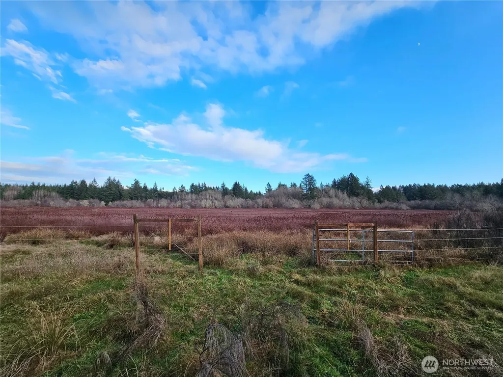 206 184th Avenue Ct NW Lakebay WA 98349