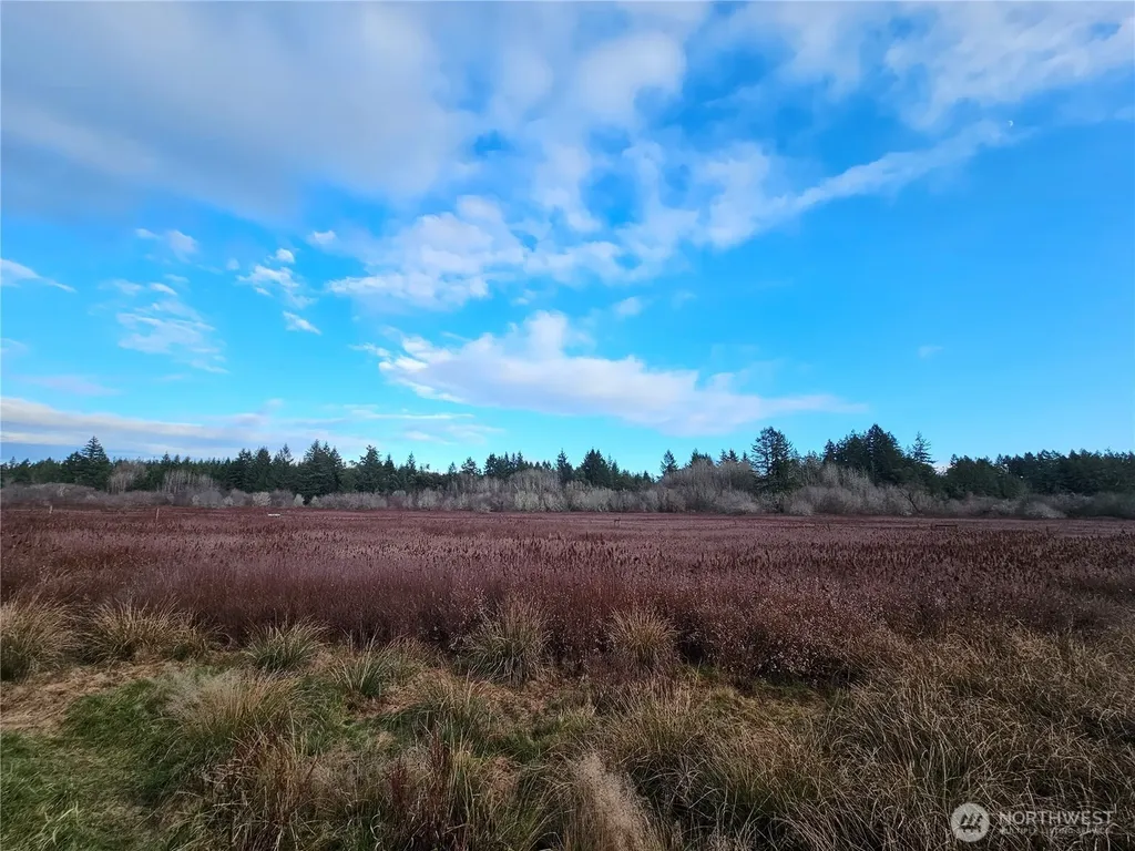206 184th Avenue Ct NW Lakebay WA 98349