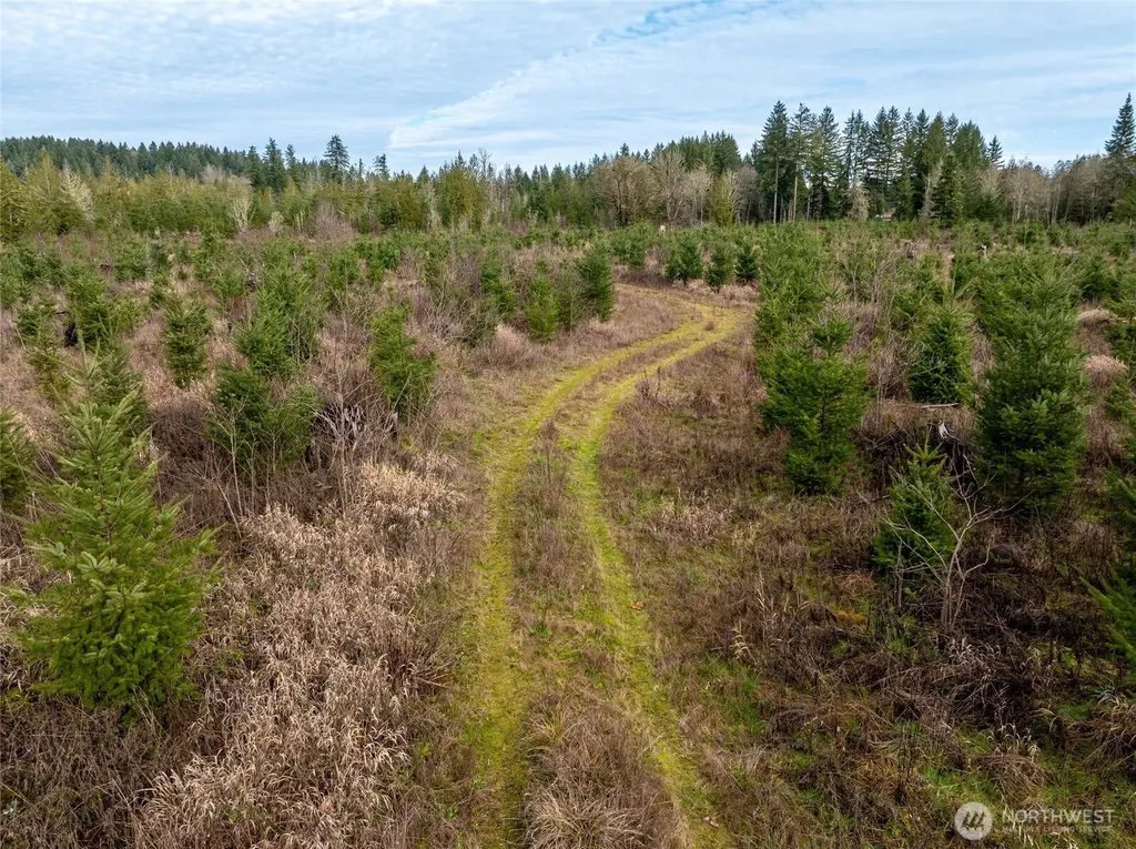 14 Spencer Road Onalaska WA 98570