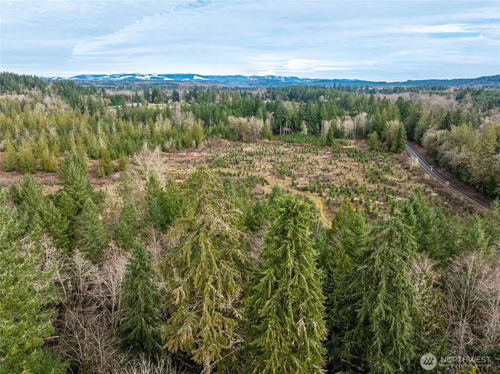 14 Spencer Road Onalaska WA 98570