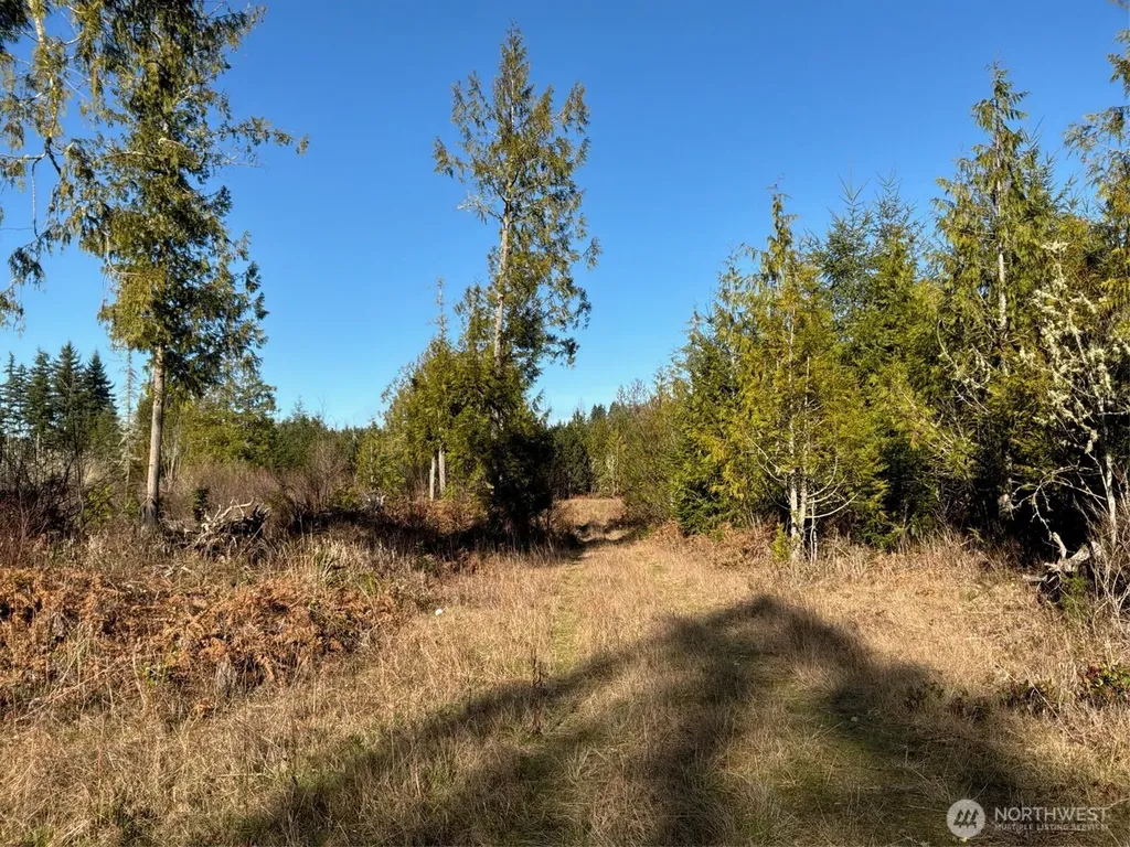 14 Spencer Road Onalaska WA 98570