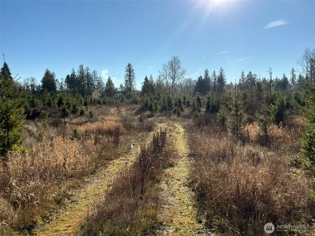 14 Spencer Road Onalaska WA 98570