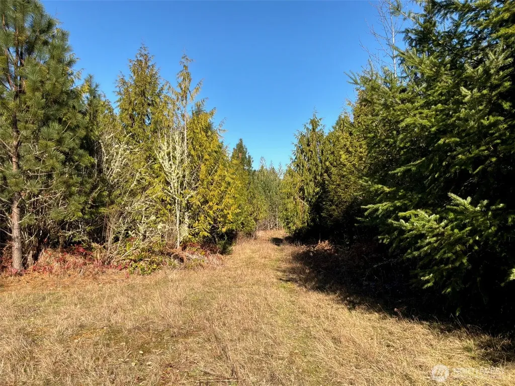 14 Spencer Road Onalaska WA 98570