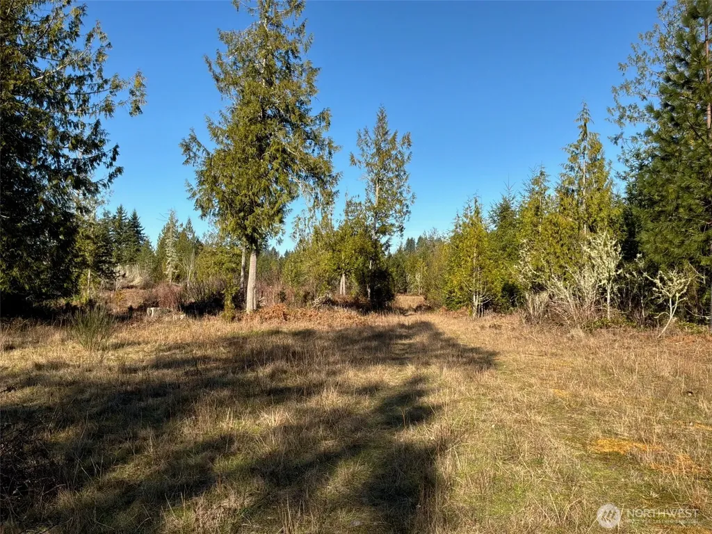 14 Spencer Road Onalaska WA 98570
