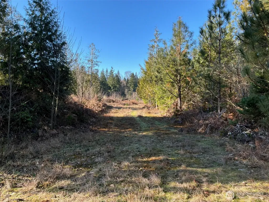 14 Spencer Road Onalaska WA 98570