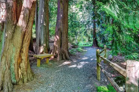 4133 224th Lane SE Issaquah WA 98029