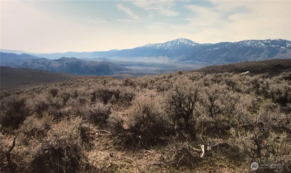 338 Palmer Mountain Road Oroville WA 98855