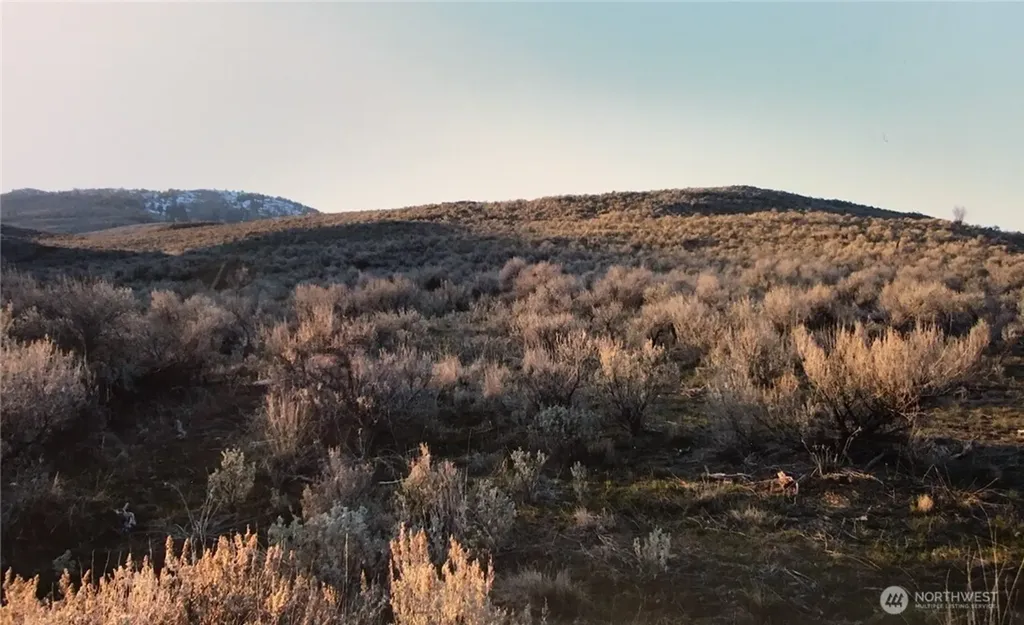 338 Palmer Mountain Road Oroville WA 98855
