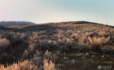 338 Palmer Mountain Road Oroville WA 98855