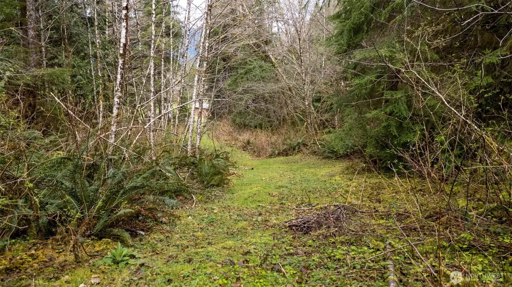 27 Olson Road Quinault WA 98575
