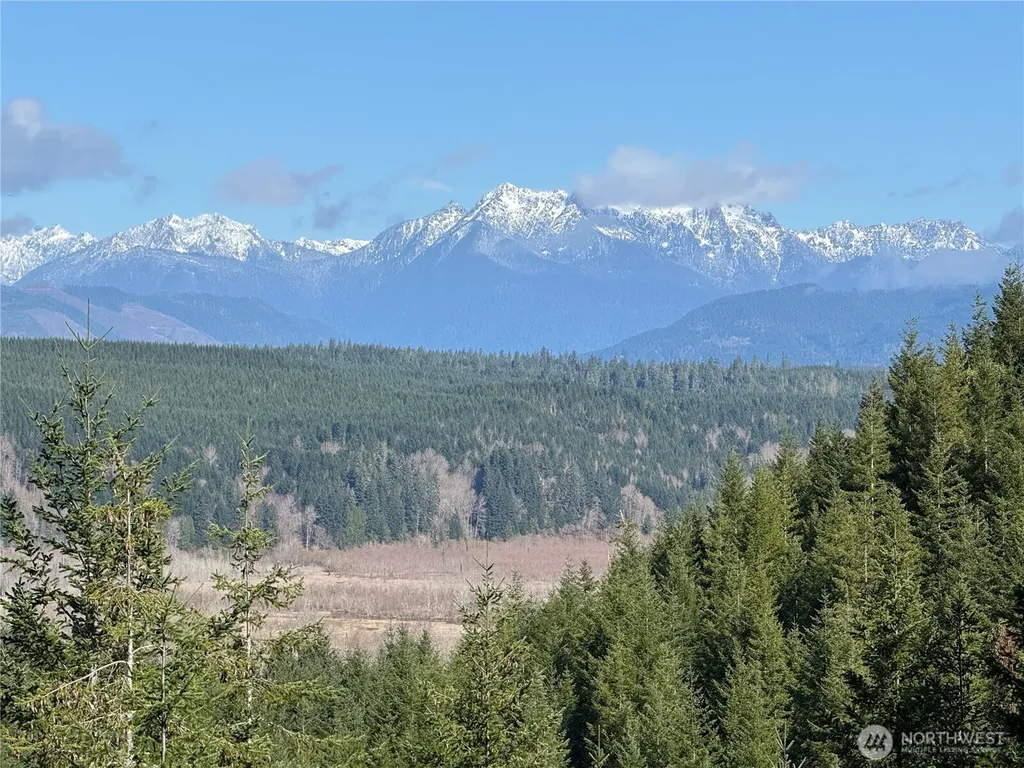 151 E Amy Court Shelton WA 98584