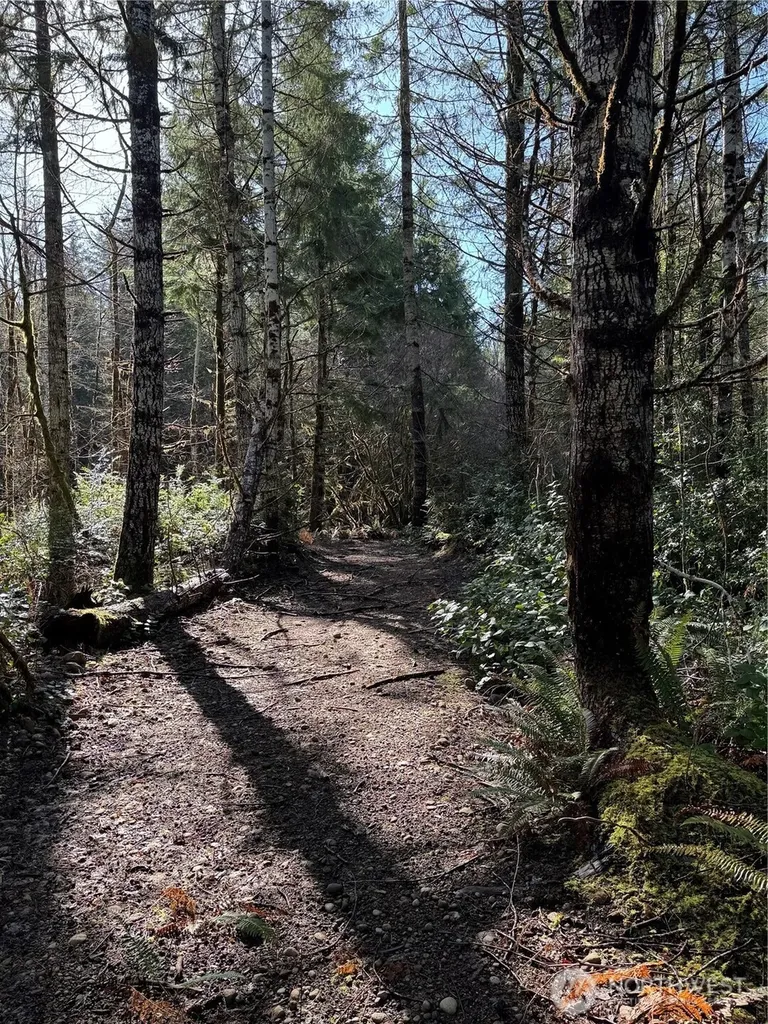151 E Amy Court Shelton WA 98584