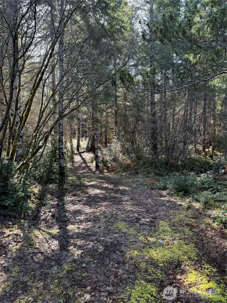 151 E Amy Court Shelton WA 98584