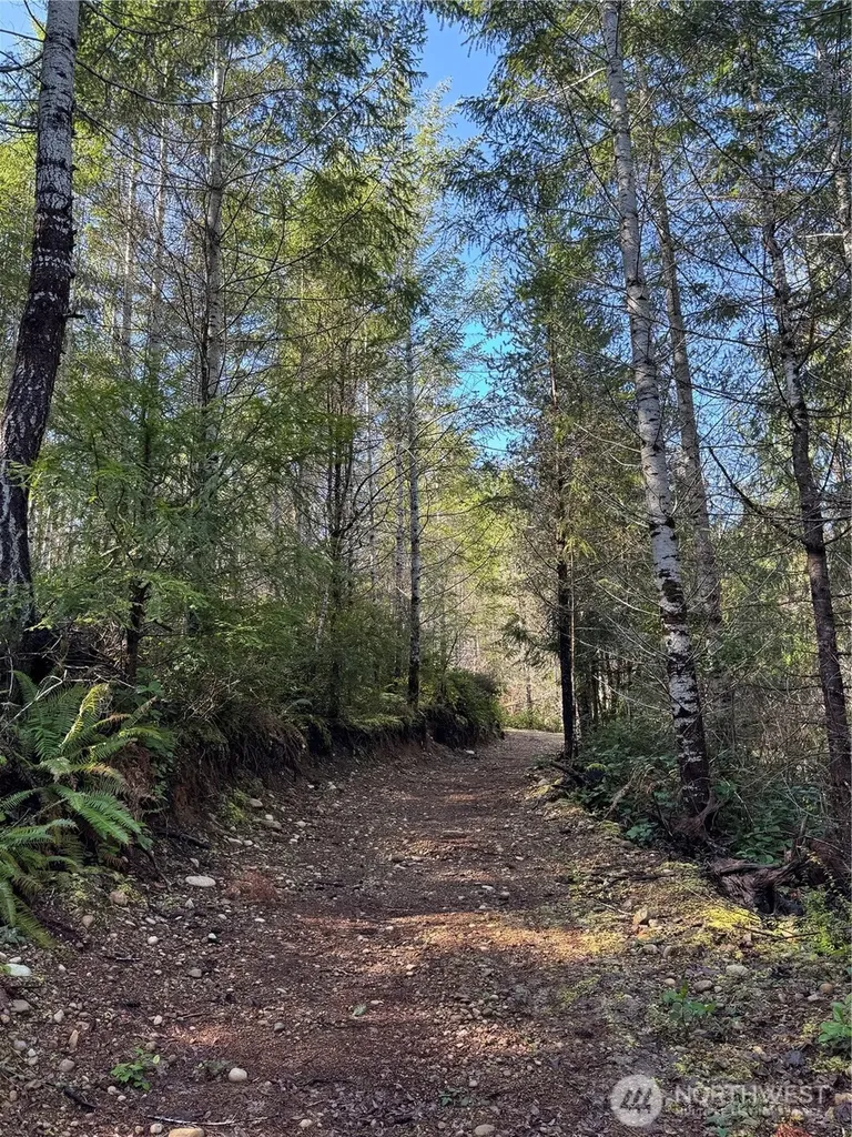 151 E Amy Court Shelton WA 98584