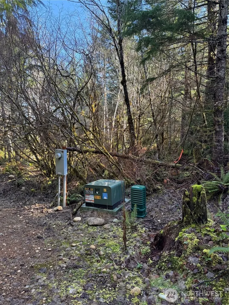 151 E Amy Court Shelton WA 98584