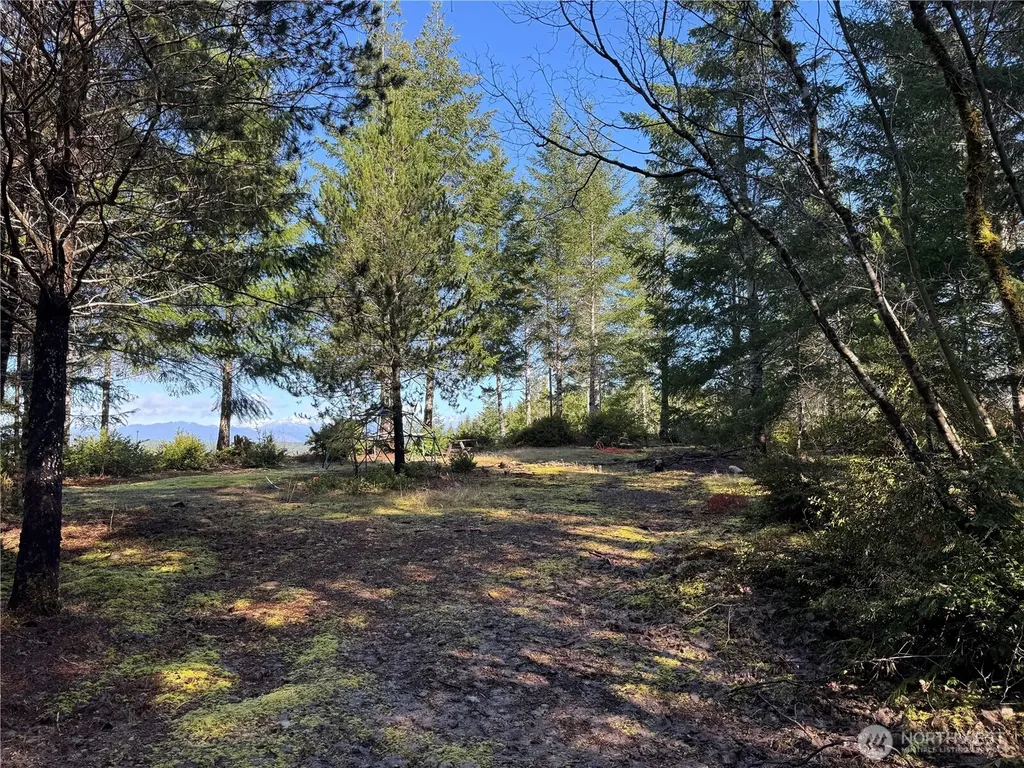151 E Amy Court Shelton WA 98584