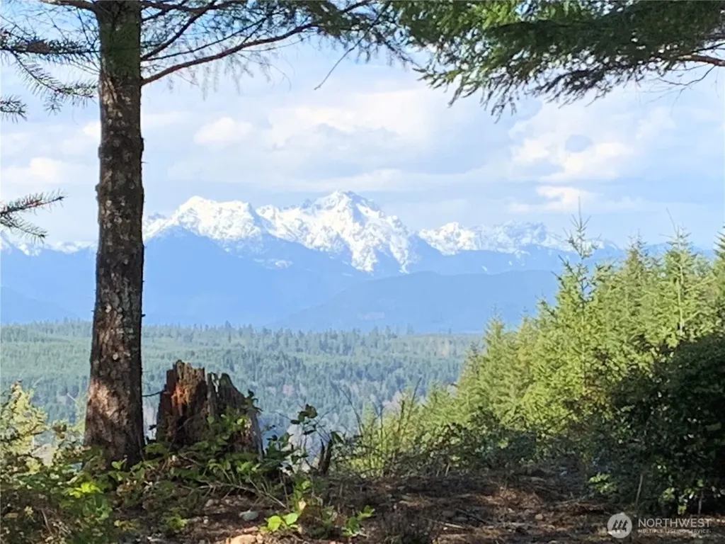 151 E Amy Court Shelton WA 98584