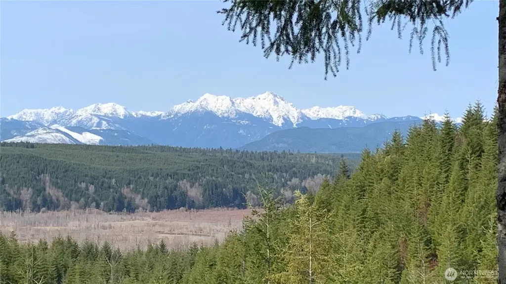 151 E Amy Court Shelton WA 98584