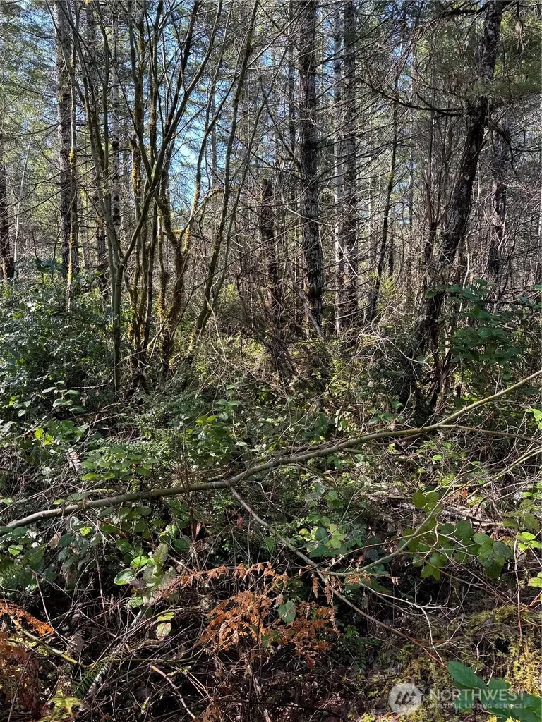 151 E Amy Court Shelton WA 98584
