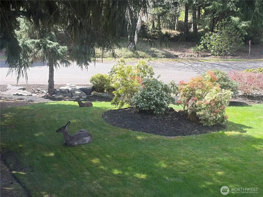 2016 Golden Maples Court NW Olympia WA 98502