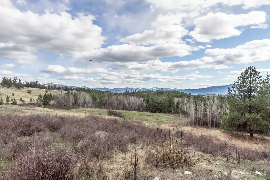 817 Dominion Springs Way Colville WA 99114
