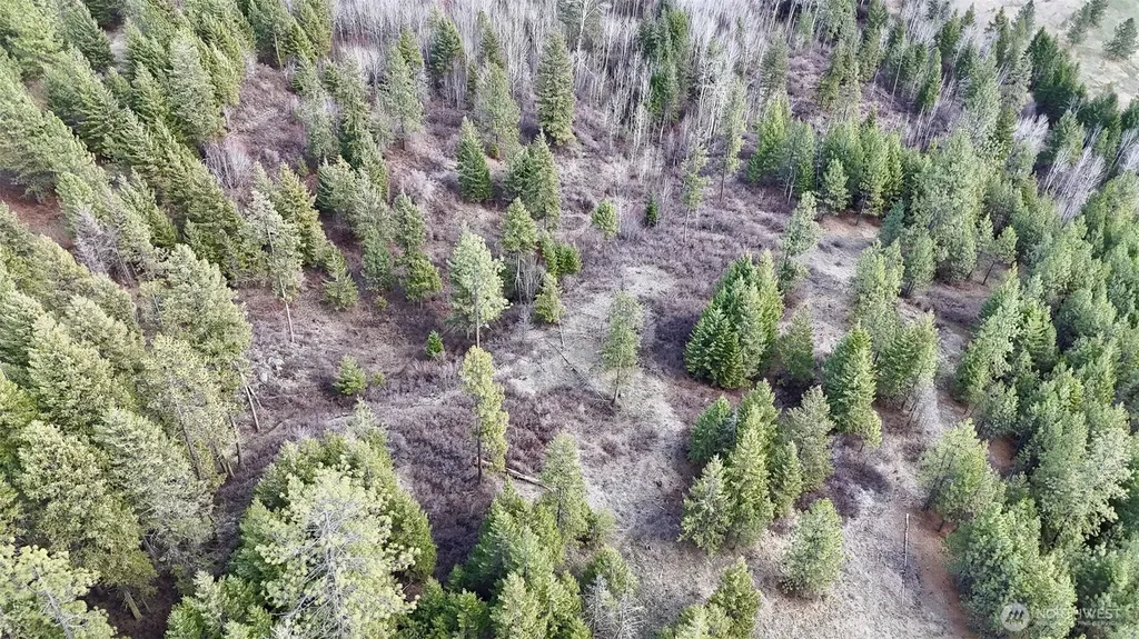 817 Dominion Springs Way Colville WA 99114