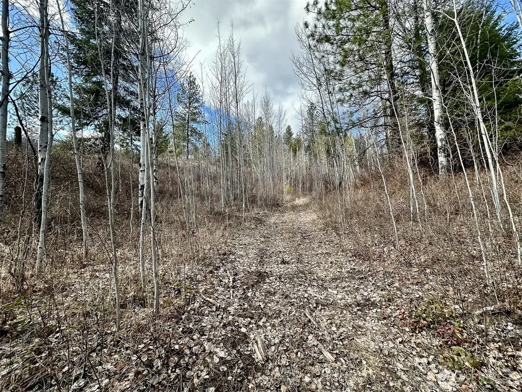 817 Dominion Springs Way Colville WA 99114