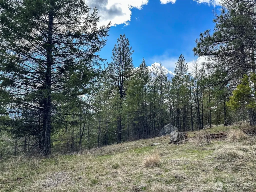 817 Dominion Springs Way Colville WA 99114