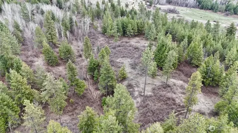817 Dominion Springs Way Colville WA 99114