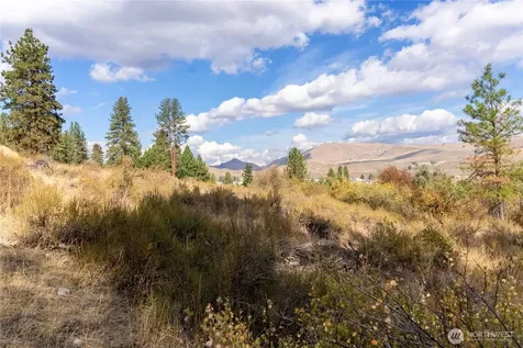 803 Twisp Carlton Road Twisp WA 98856