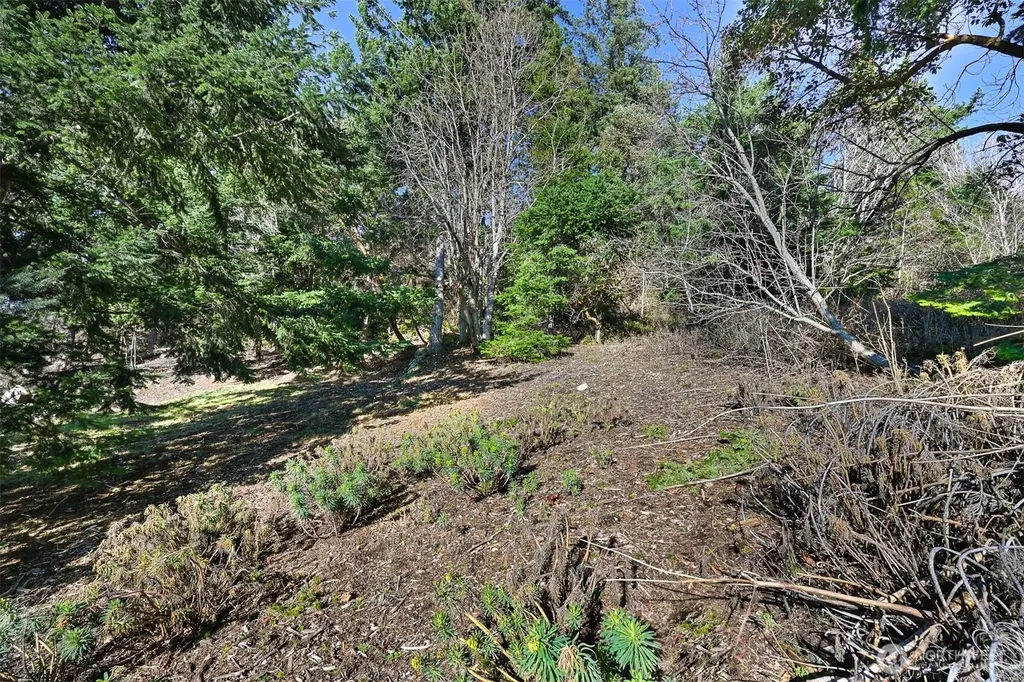405 Arbutus Place Bellingham WA 98225
