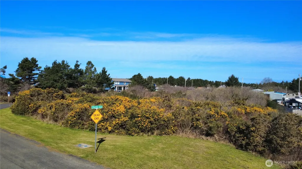 1 Francis Seamore Lane Grayland WA 98547