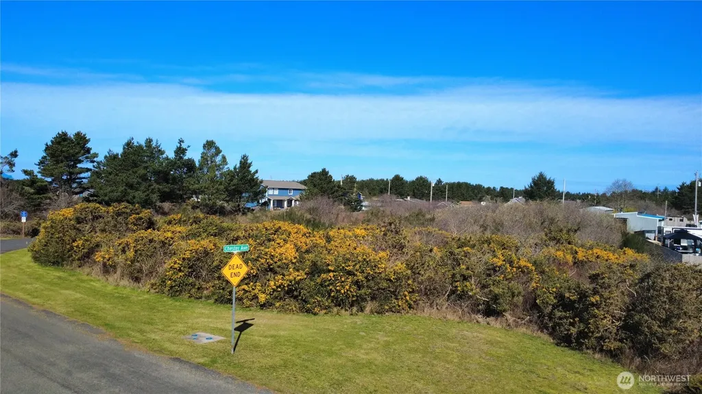 1 Francis Seamore Lane Grayland WA 98547