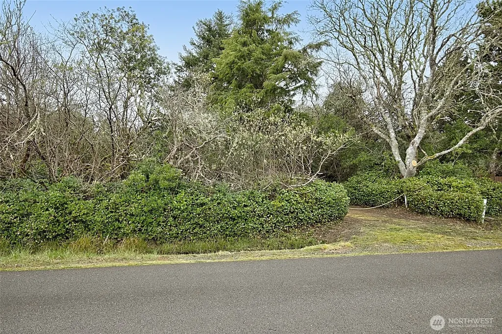 189 S Narwhal Loop SW Ocean Shores WA 98569