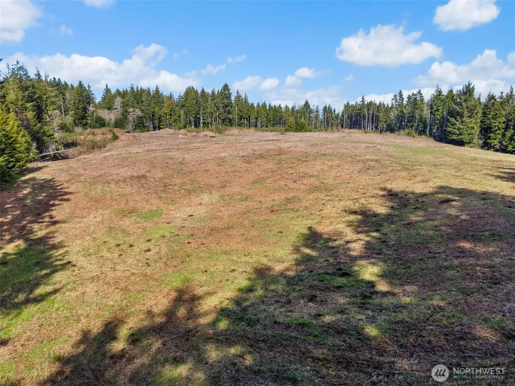 75 Bear Meadows Lane Aberdeen WA 98520